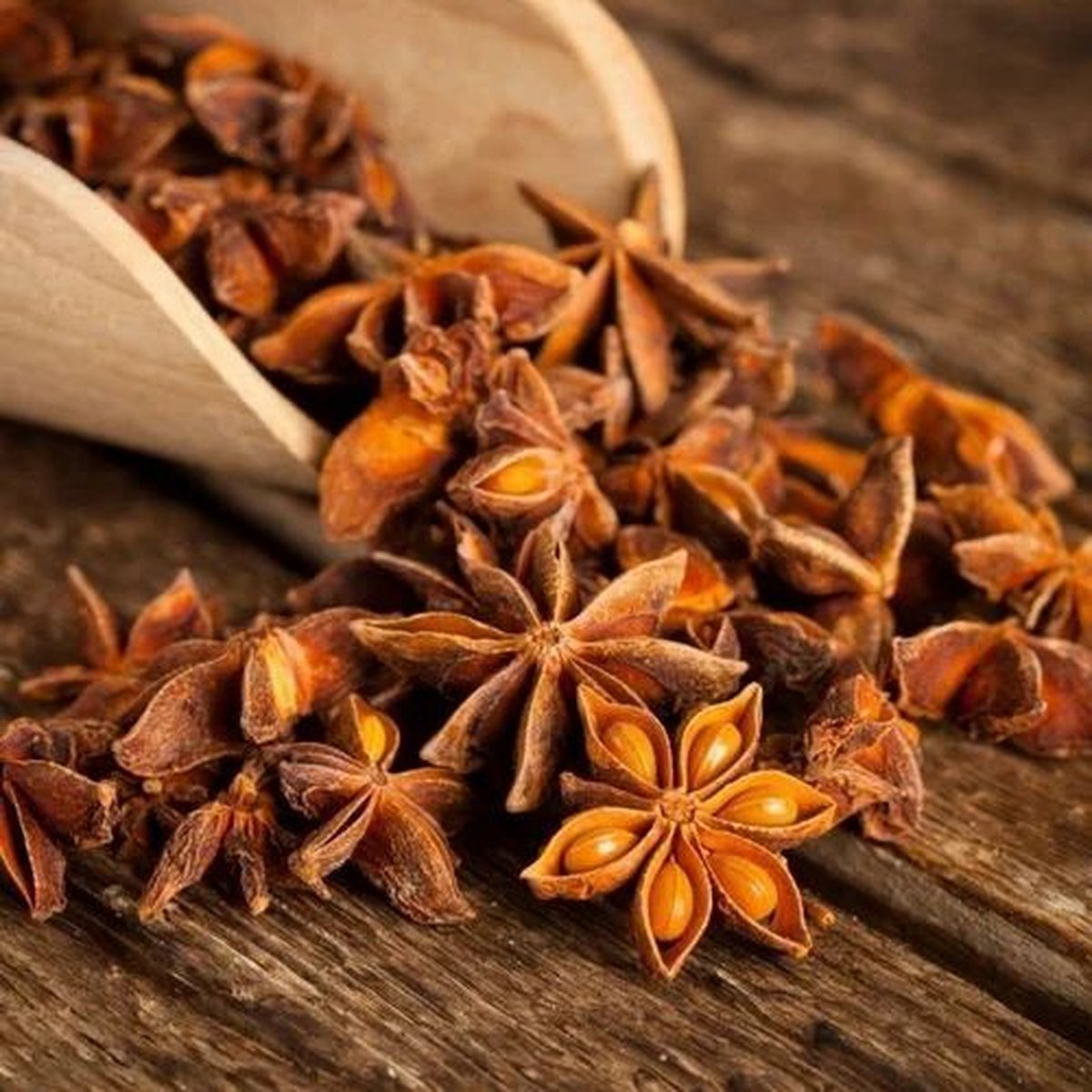 Star Anise